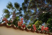 In einem marbellinischen Villenviertel 