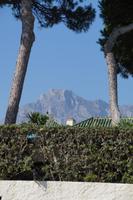 La Concha, der für Marbellas Mikroklima verantwortliche Berg, von der Strandpromenade aus gesehen