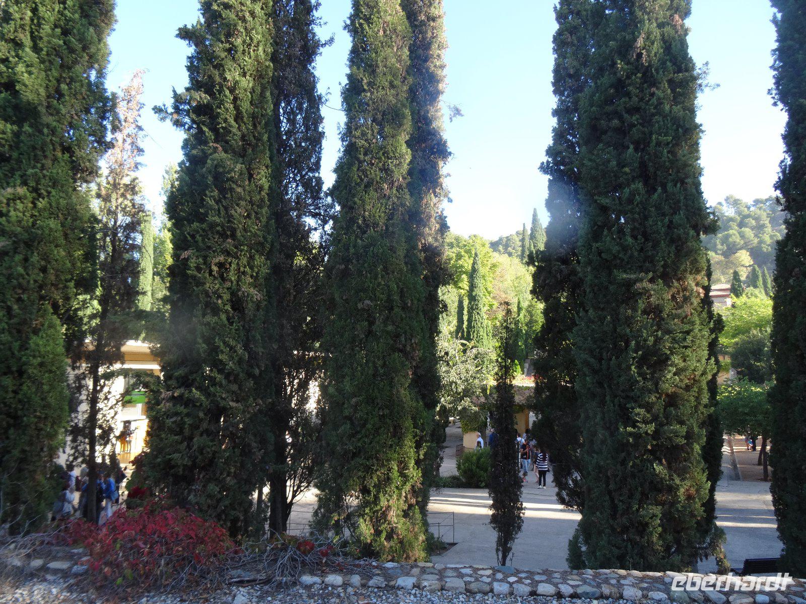 In den Gärten Granadas