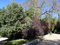 Selbst im Oktober noch üppig grün