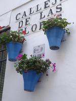 Wie der Name schon sagt, Blumenstraße in Cordoba