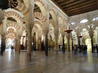 Säulenwald in der Mezquita