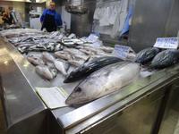 Auf dem Markt in Valencia ist viel Fisch zu sehen