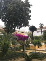 Gartenanlage im Casa de Pilatos