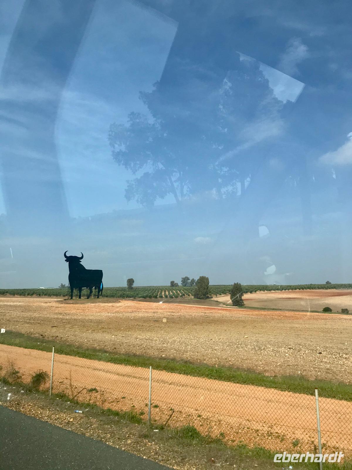 populärer Osbourne-Stier an Spaniens Autobahnen