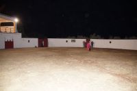 In der Plaza de Toros