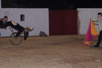 Die Stier scharrt mit den Hufen