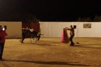 Busfahrer Alfonso gegen den Stier