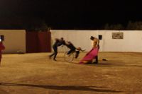 Busfahrer Alfonso gegen den Stier - der weiß, wie man die Capote führen muss