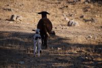 -Määääh -Möööh (Übersetzung: -Warte Mama. -Komm jetzt, Kind!)