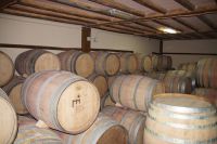 In der Bodega Los Frutales de Joaquín Fernández