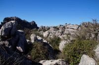 die wilde Landschaft des Torcal (mit stecknadelkopfgroßem Steinbock oben links)