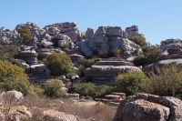 Pfannkuchenformationen im Torcal