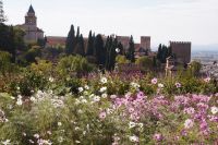 Blumenpracht in den Gärten des Generalife