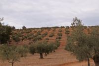 rote Erde hinter der Alhambra