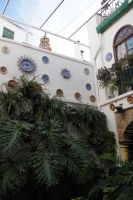 Córdoba ist für seine Innenhofbepflanzungen bekannt