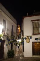 Blumengasse Córdoba mit Kathedralturm