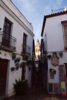 Blumengasse mit Kathedralglockenturm bei Tag