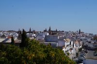 Blick auf Carmona mit seinen Kirchtürmen und dem Alcazar