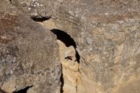 Tumba del Elefante, Elefantengrab, so benannt nach der im Grab gefundenen Elefantenfigur (hier steht eine Replik) 