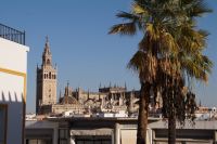 Die Kathedrale von Sevilla aus dem Hotelzimmer