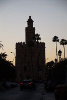 Sevilla: Torre de Oro im Gegenlicht