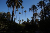 In den Gärten der Reales Alcázares