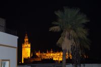 Sevillas Kathedrale vom Fenster des Reiseleiters aus gesehen