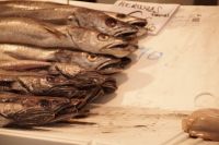 Im Markt von Cádiz - Seehechte