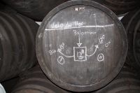 Hier wird mit der Rebsorte Palomino gearbeitet. Die Hefeblüte (Velo de Flor) schwimmt auf dem Wein, der - für andere Winzer ein Graus - bei Sherrweinen unbedingt oxidieren soll