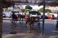 burro-taxi (burro = Esel)