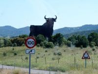 der spanische Stier