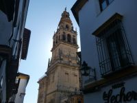 noch einmal Blick nach oben