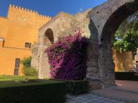 SEVILLA - Alcazar Real