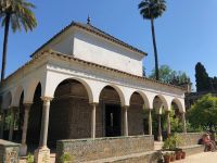 SEVILLA - Spaziergang im Garten des Alcazar Real