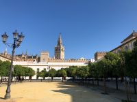 SEVILLA - Blick auf die Giralda