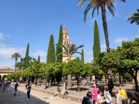 038-Cordoba Mezquita