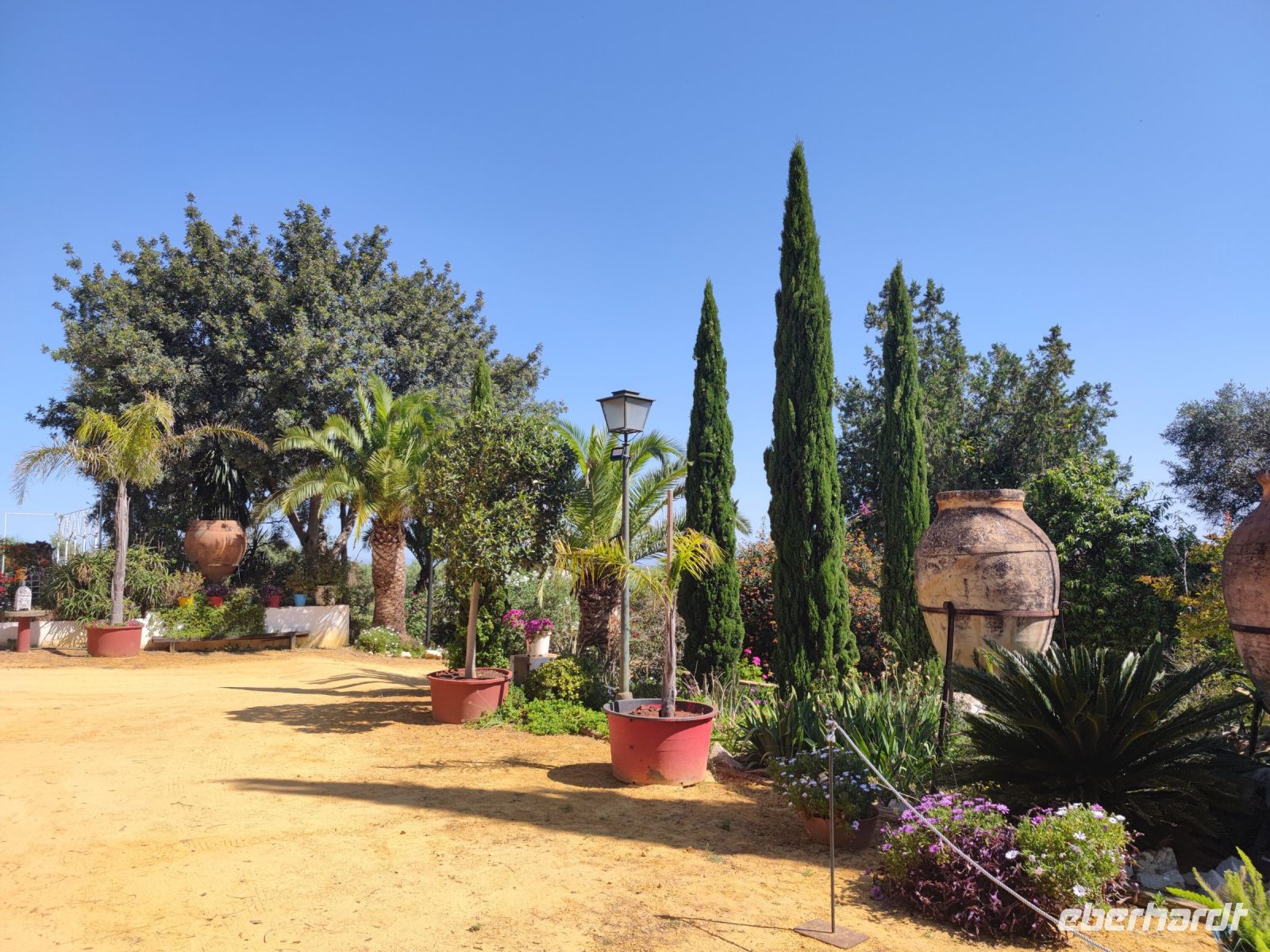 041-Aceites Basilippo