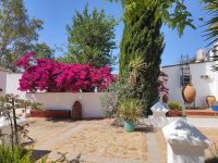 042-Aceites Basilippo