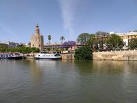 053-Sevilla Torre del Oro