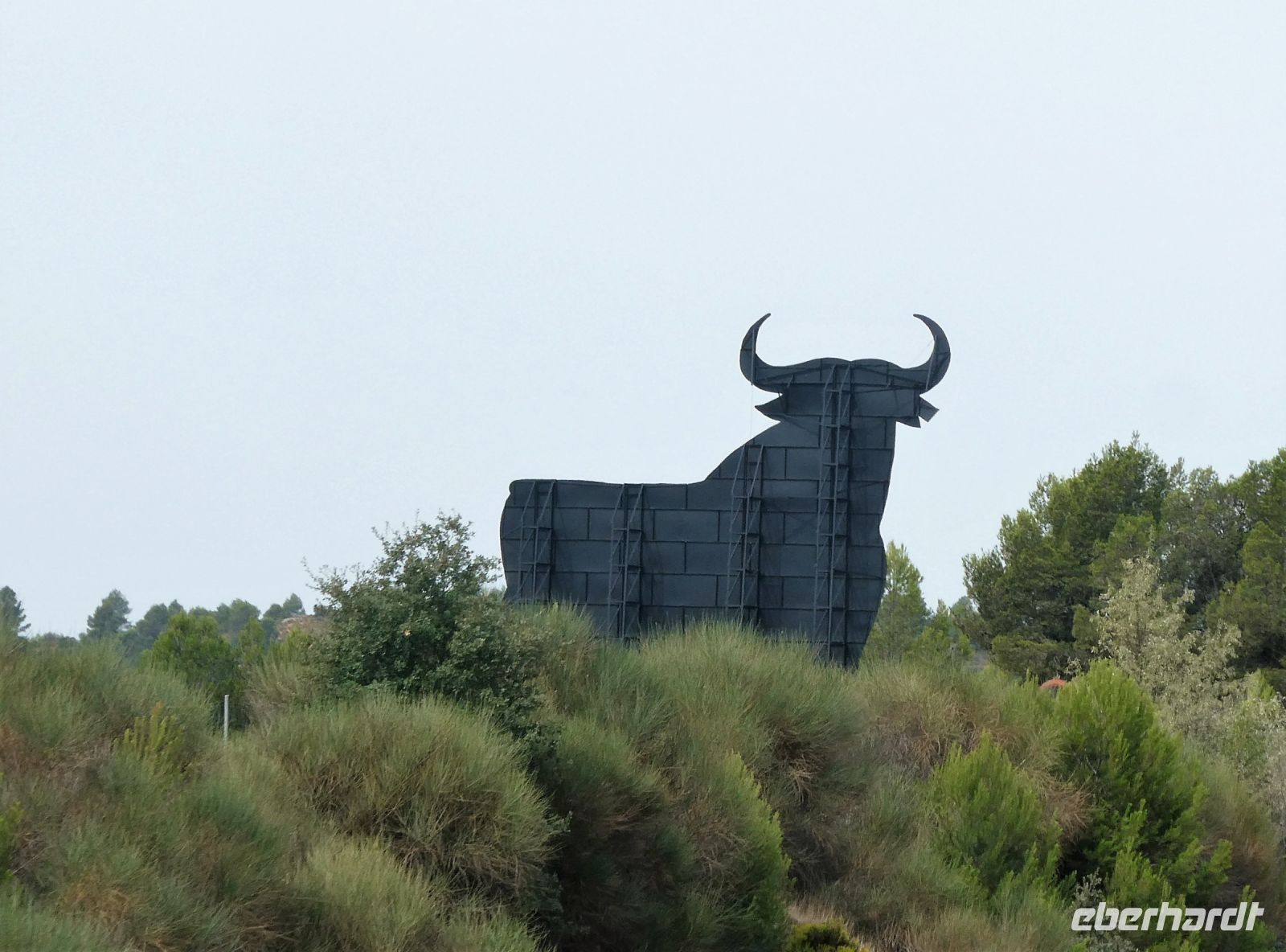 der schwarze Stier begrüßt uns