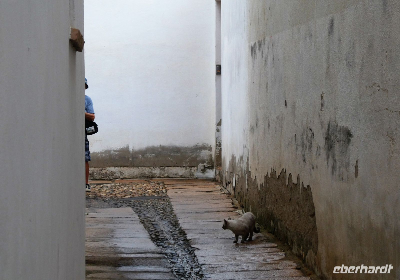 Versteckspiel mit Fotografen