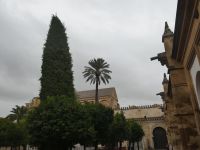 im Hof der Moschee bei Regenwetter
