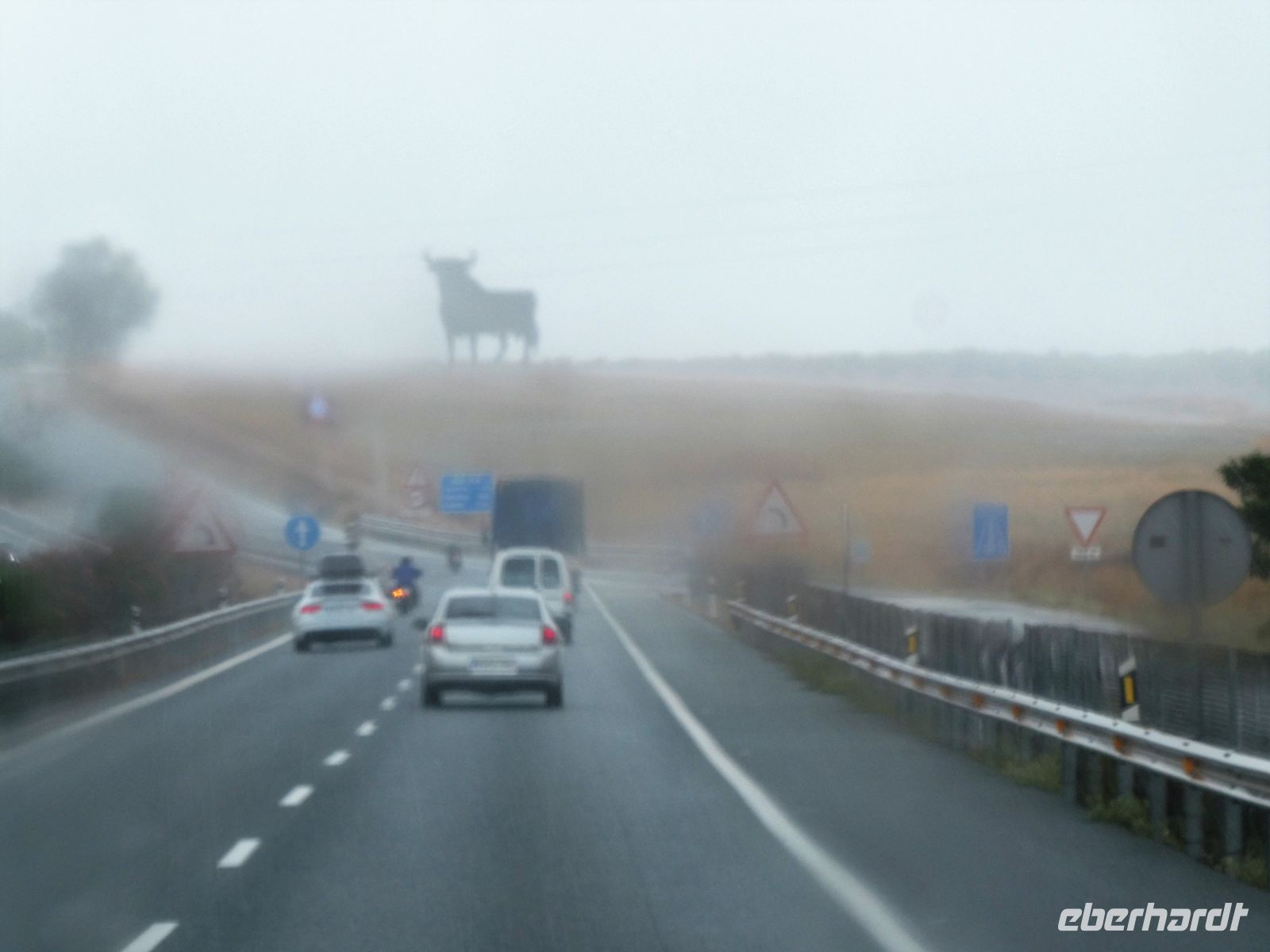 Stier im Nebel