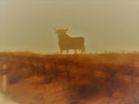 Auf Wiedersehen - Hasta la vista - Espana!