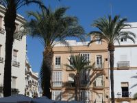 weiße Prachtentfaltung