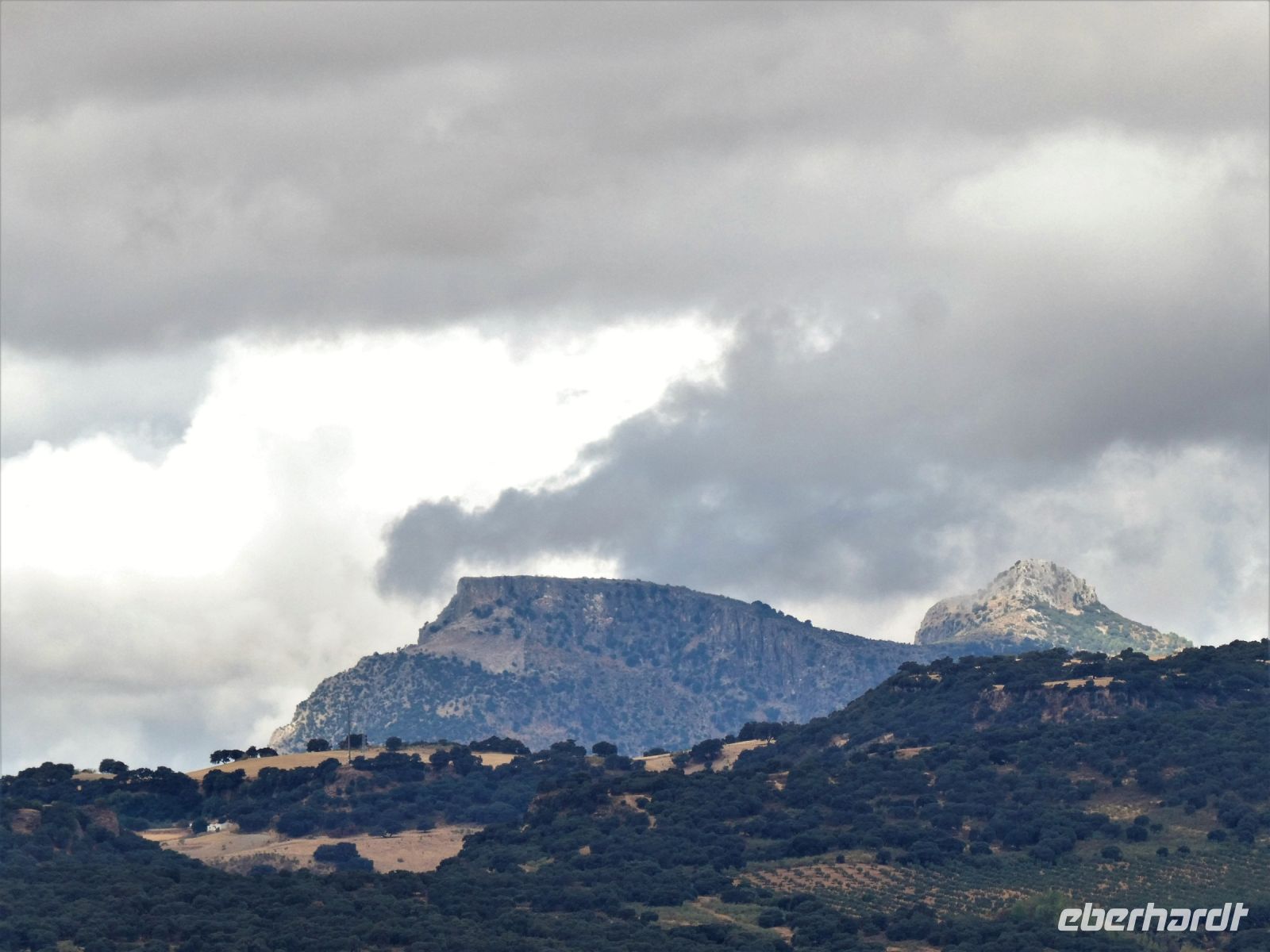 auf dem Weg nach Ronda