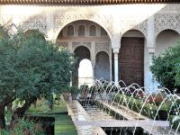 Wasser gehört in das Paradies