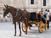 warten auf Kundschaft