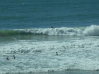 Wellen zum Surfen